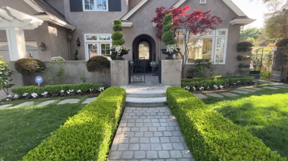 Landscape Design & Planting